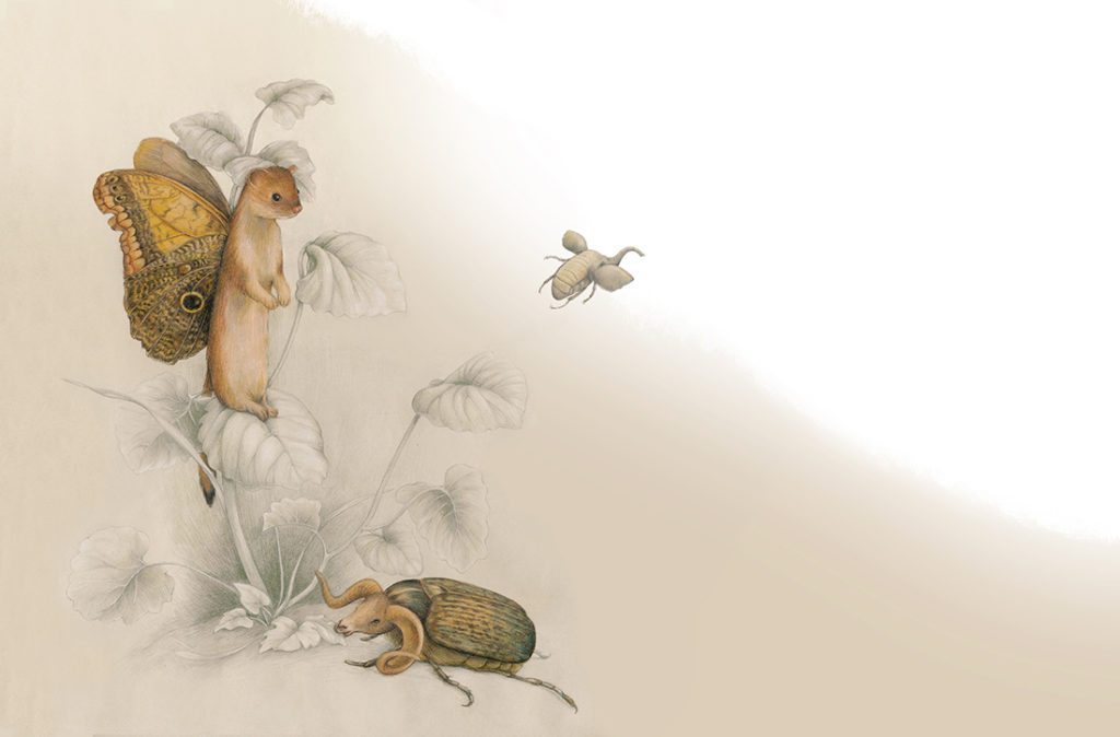 insecten fantasie tekenen prentenboek Marlies Verhelst Bigkikker