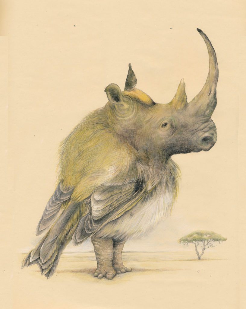 Neushoornvogel fantasie prentenboek cover Bigkikker Marlies Verhelst